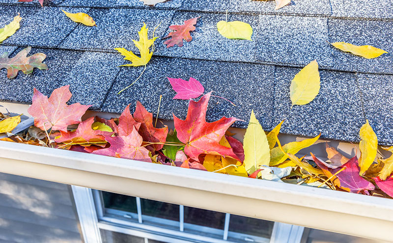 Clean your gutters and avoid the build up that can cause blockages