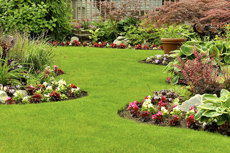 Landscaping your summer home